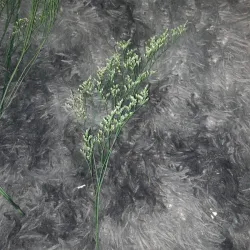 Follaje natural para flor