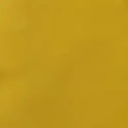 Fomi liso amarillo mostaza