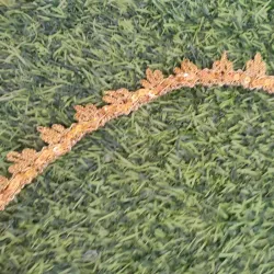 Galón dorado con lentejuelas 