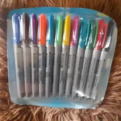 Juego de  10 plumones permanentes 