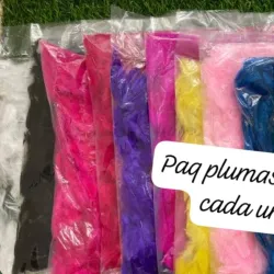Paq de plumas 1