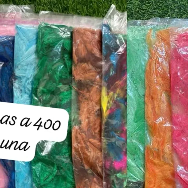 Paq de plumas 2