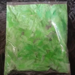 Paq de plumas  VERDE CLARO
