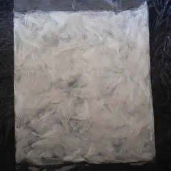 Paquete de plumas BLANCAS
