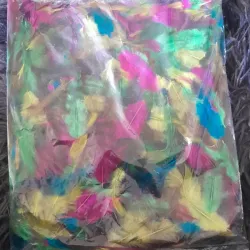 Paquete de plumas Surtidas 1