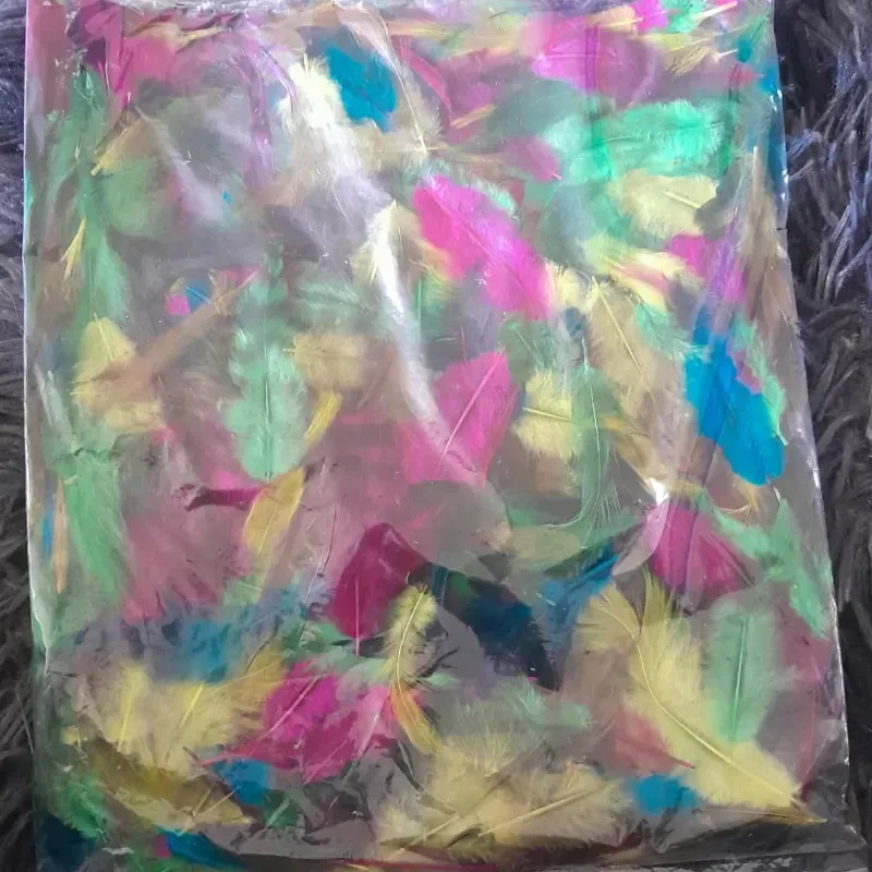 Paquete de plumas Surtidas 1