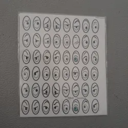 Planilla ojos medios