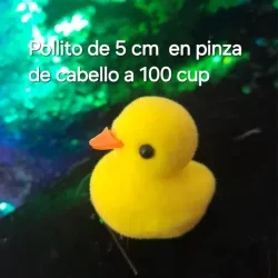Pollito en pinza 