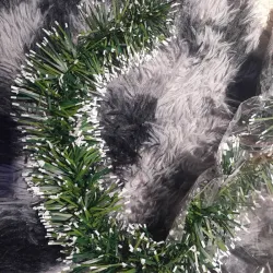 Rabo de gato verde nevado