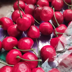 Ramita de 1 cereza 