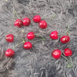 Ramita con 2 cerezos 