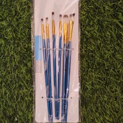 Set de 6 pinceles