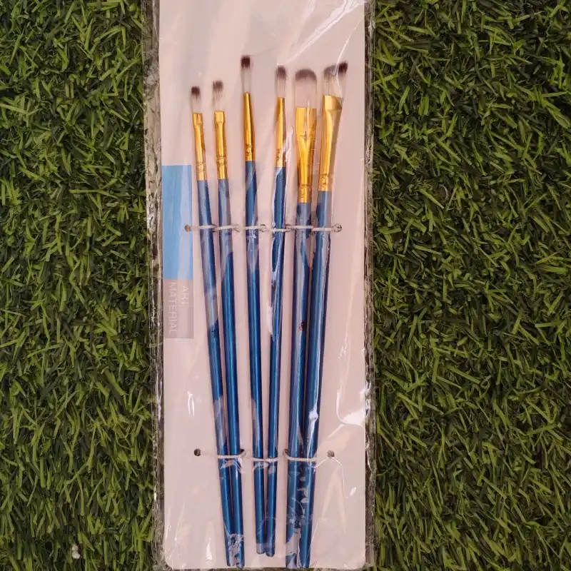 Set de 6 pinceles
