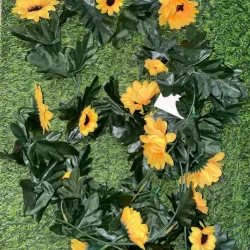 Tira de girasol 2,2 metros 