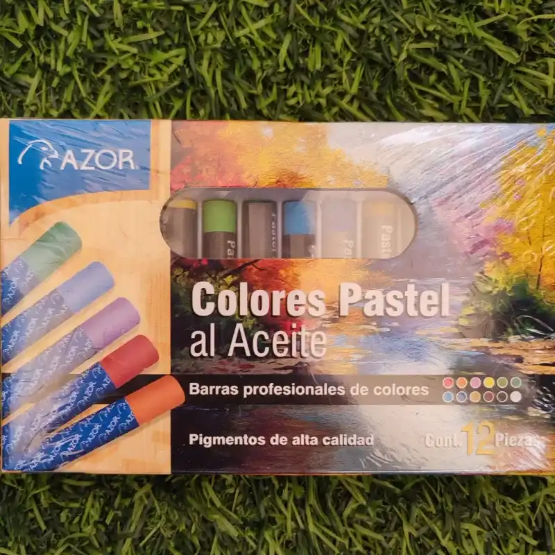 Tizas colores pastel al aceite  12 unidades 