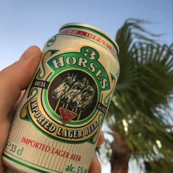 🍺 Cerveza 3 Caballos