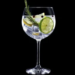 🍸✨ Gin Tonic