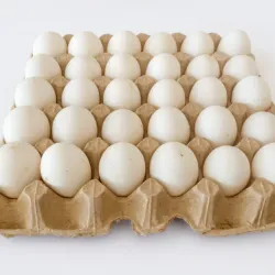 Cartón de huevo 30 u