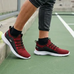 Tenis