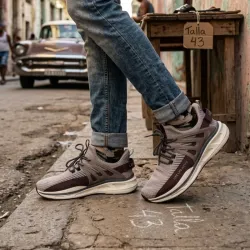 Tenis