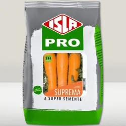 Semillas de Zanahoria 🥕, origen: Italia.