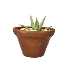Planta 03