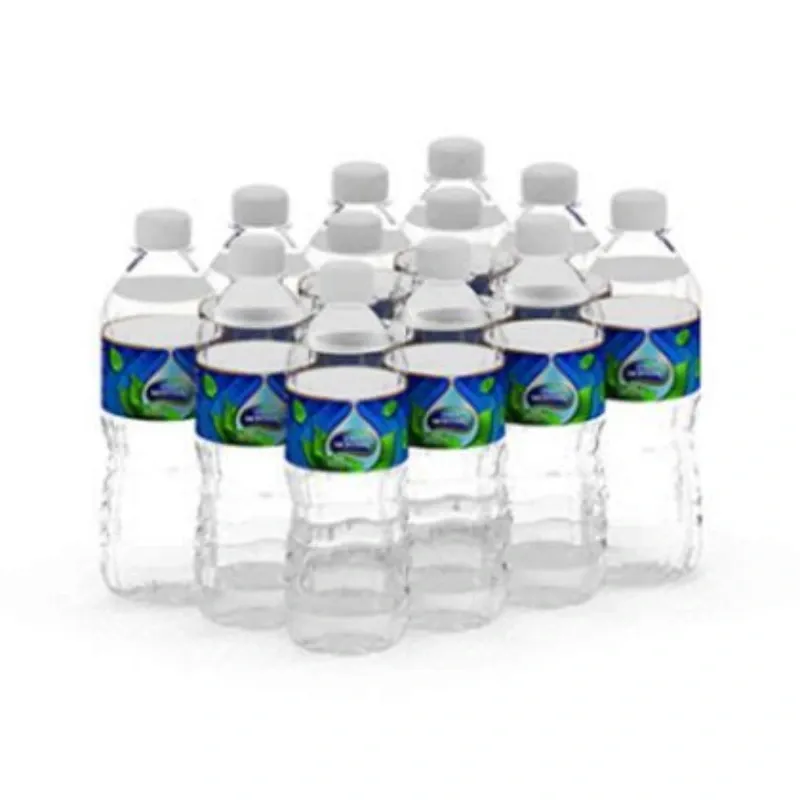 Agua Mineral Ciego Montero 500 ml