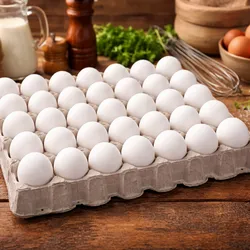 Huevos de exportacion