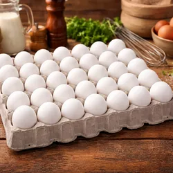 Huevos de exportacion