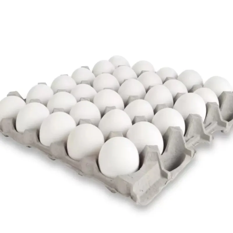 Huevos de exportacion