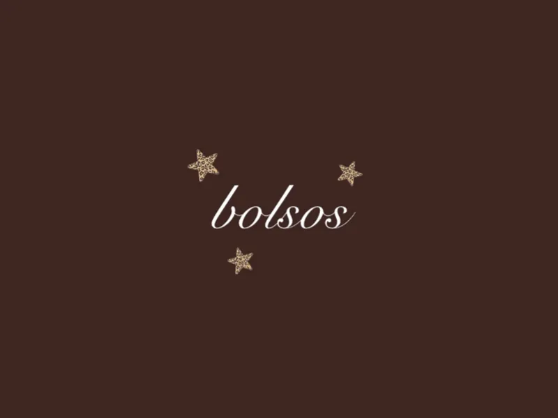 Bolsos ✨