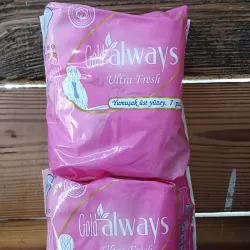 Almohaditas sanitarias