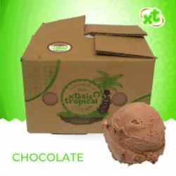 CAJAS DE HELADO 4 LT
