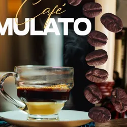 Cafe Mulato