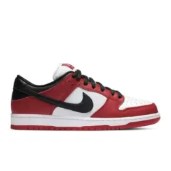 Nike Dunk Pro Chicago