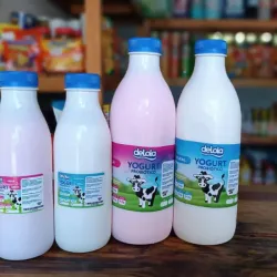 Yogurt Probiótico de lola 