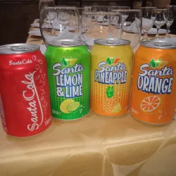 Refresco sabores varios 330 ml