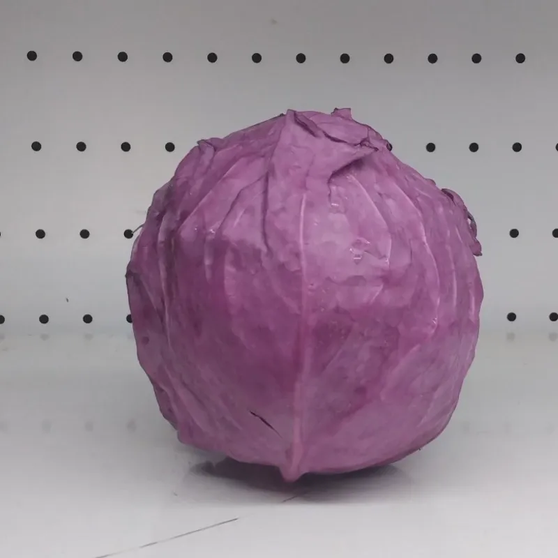 Colonia morada
