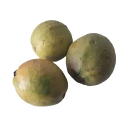 Guayaba 1 lb