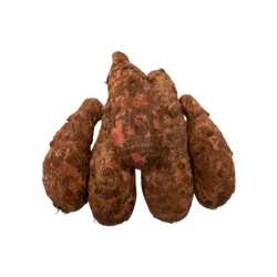 Malanga (5 lb)