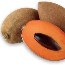 Mamey
