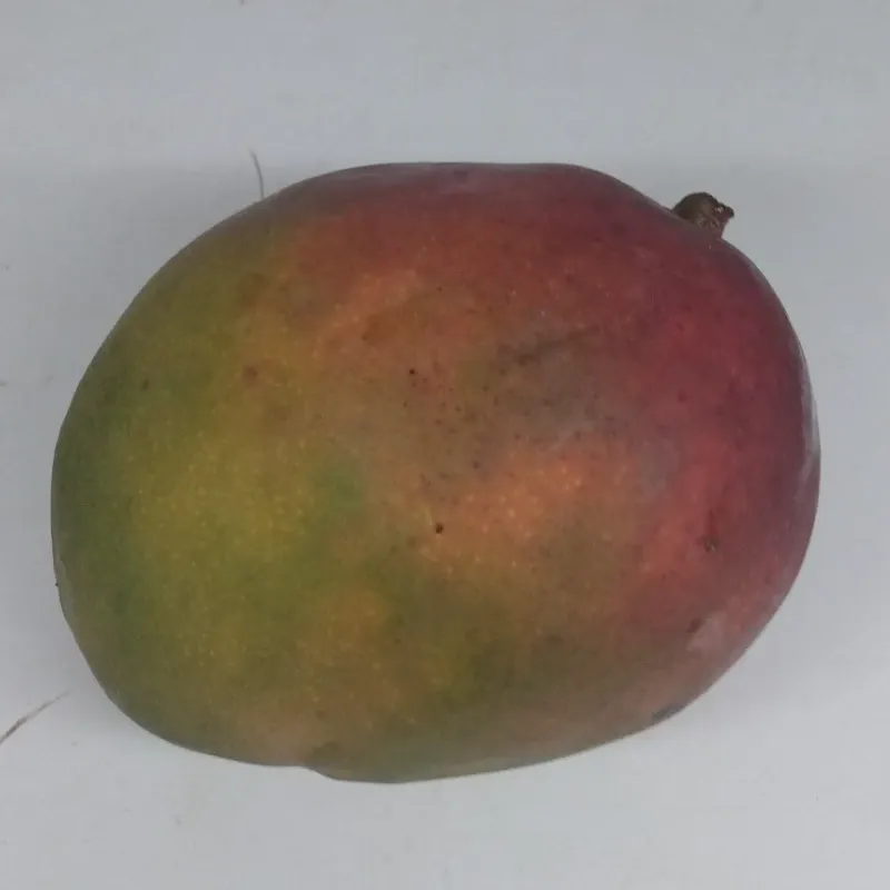 Mango (1lb)