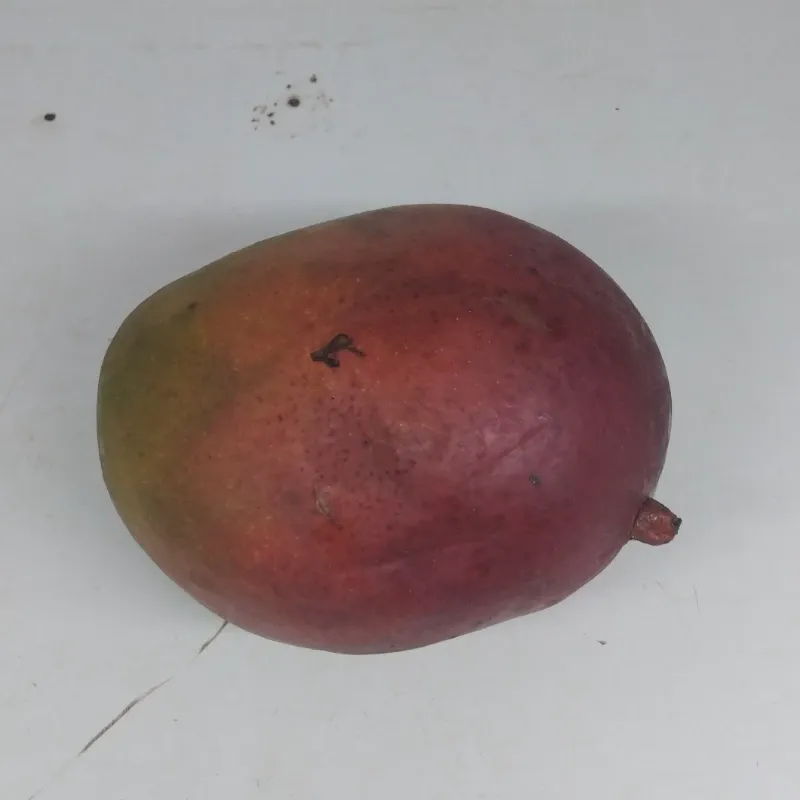 Mango (1lb)