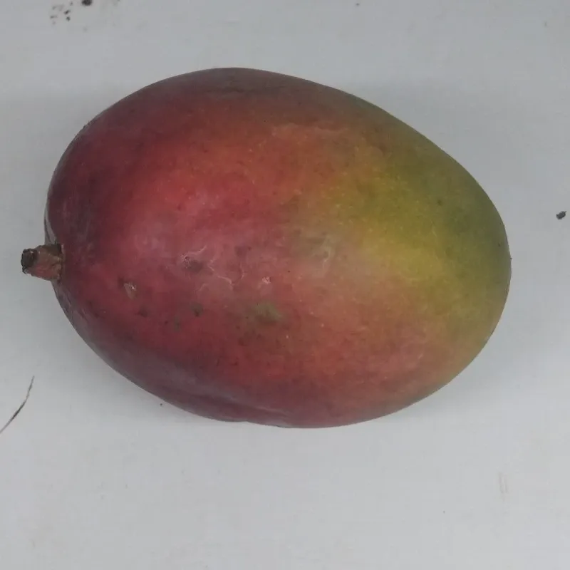 Mango (1lb)