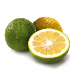 Naranja Agria (2lb)