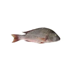 Pargo entero