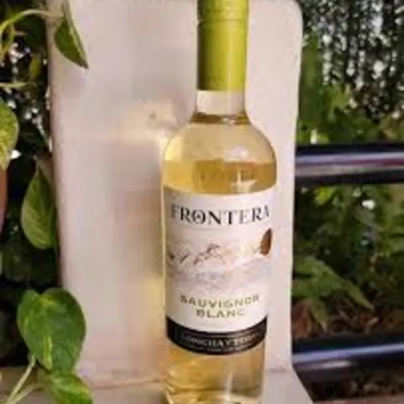 vino Blanco FRONTERA Sauvignon Blanc (Copa)