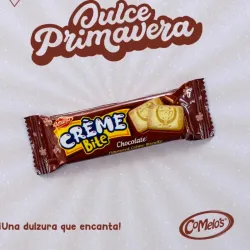Galletas de Chocolate