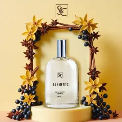 Perfume ELEMENT (for men)