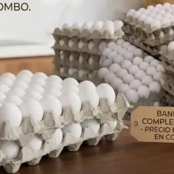 Carton de huevos